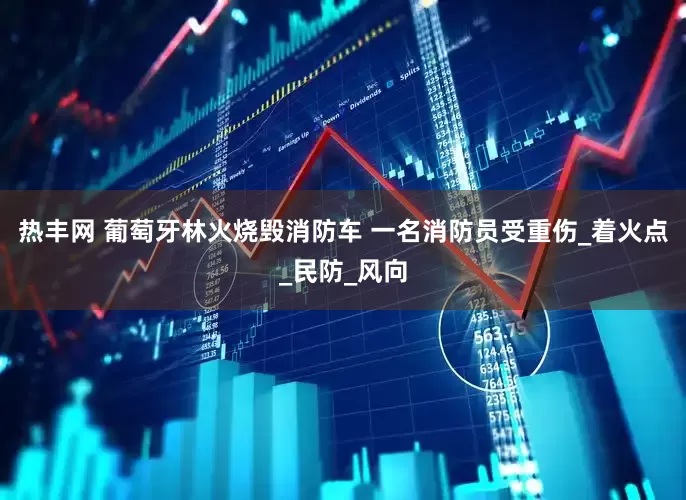 热丰网 葡萄牙林火烧毁消防车 一名消防员受重伤_着火点_民防_风向