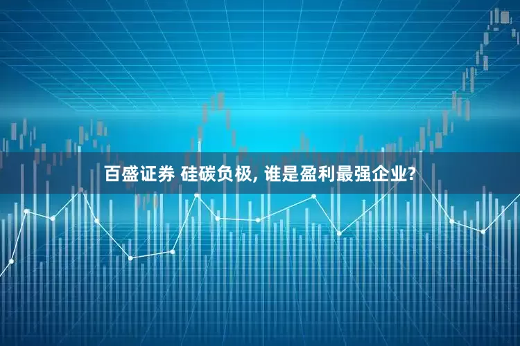 百盛证券 硅碳负极, 谁是盈利最强企业?