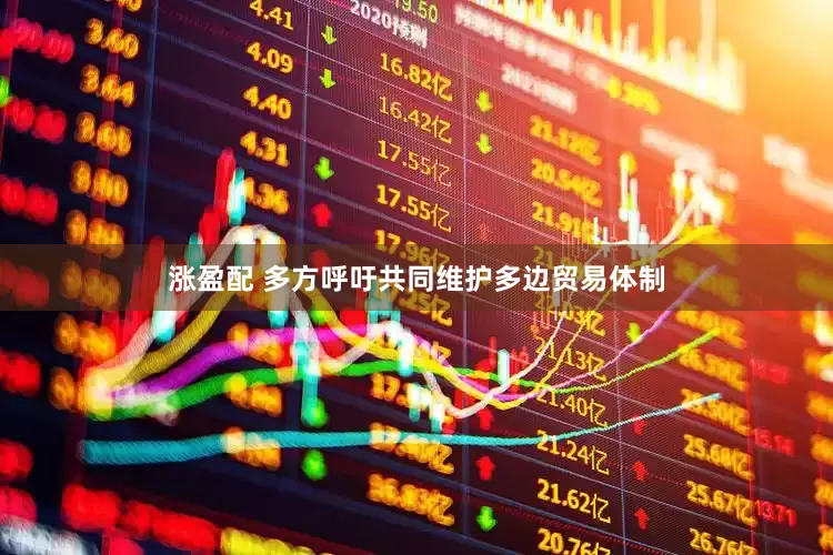 涨盈配 多方呼吁共同维护多边贸易体制