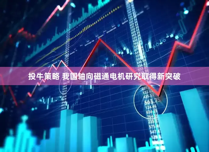 投牛策略 我国轴向磁通电机研究取得新突破